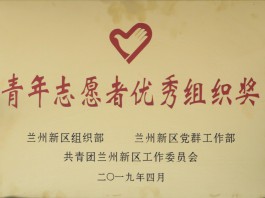 青年自愿者优异组织奖