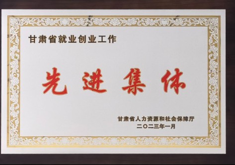 甘肃省就业创业先进整体