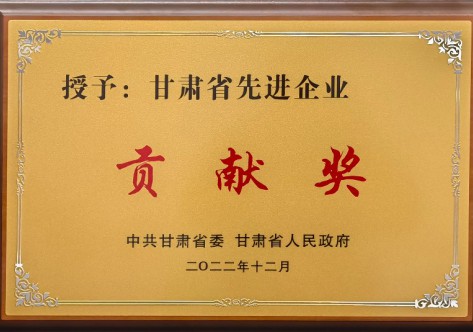 甘肃省先进企业孝顺奖