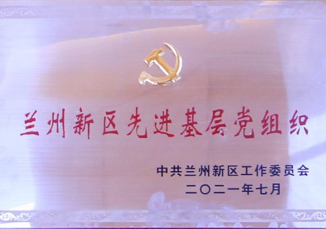 兰州新区先进下层党组织