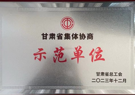 甘肃省整体协商树模单位